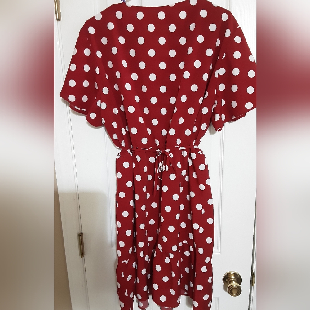 Red And White Polka Dot Dress - Picture 3 of 4